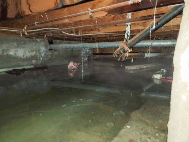 Best 24-hour water damage restoration  in Santa Clara, UT