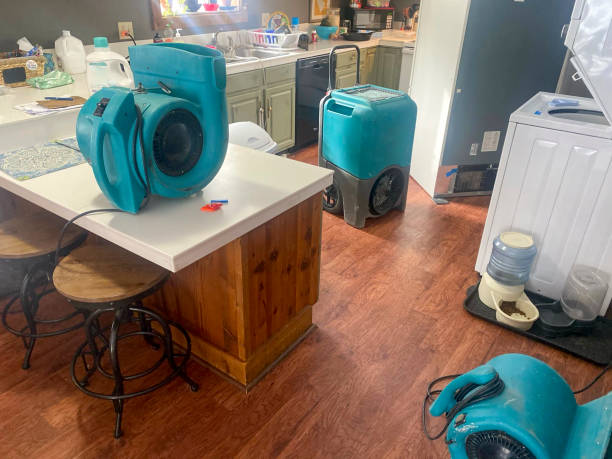 Best Professional water damage repair  in Santa Clara, UT