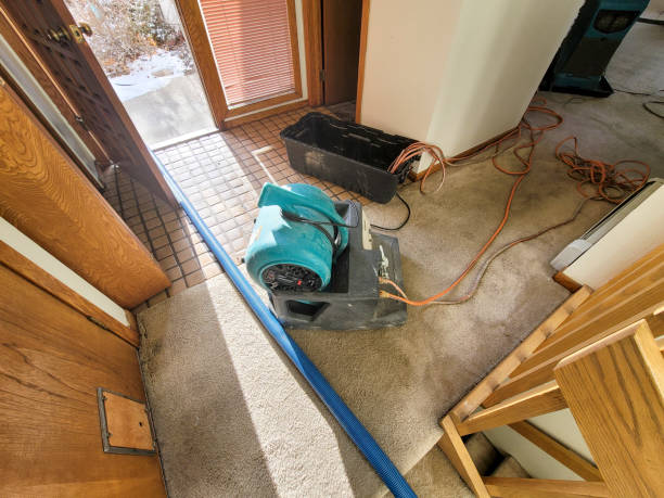 Best Water damage restoration near me  in Santa Clara, UT