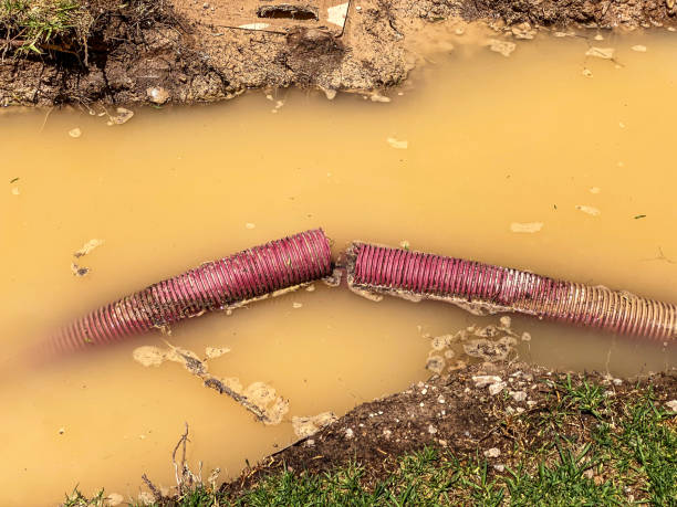 Best Water damage cleanup near me  in Santa Clara, UT