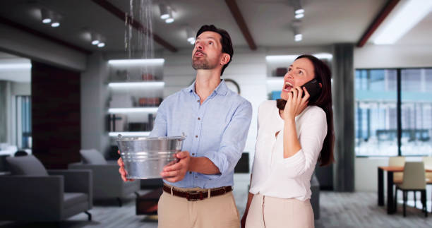 Best Flooded house restoration  in Santa Clara, UT