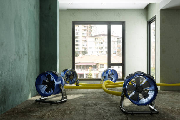 Best Commercial water damage restoration  in Santa Clara, UT